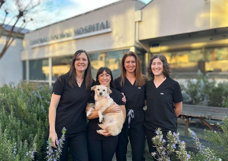 Carousel Slide 1: Petaluma veterinarians