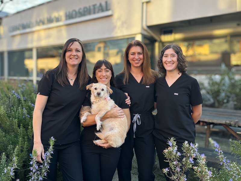 Petaluma Pet Hospital
