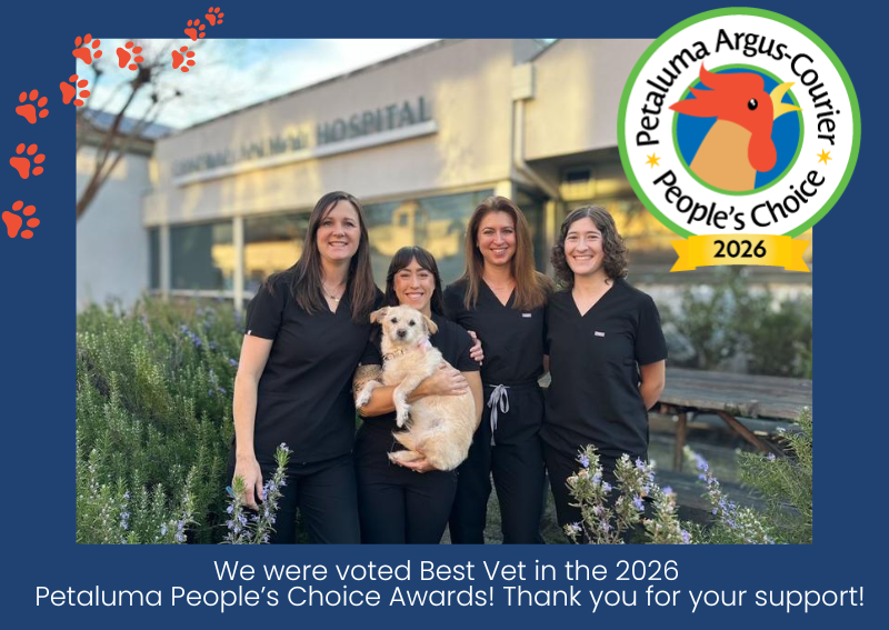 Carousel Slide 1: Meet the team!