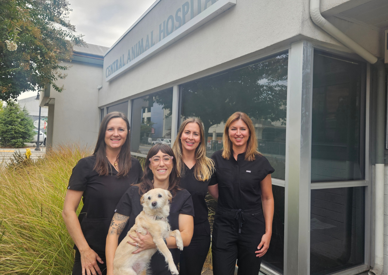 Petaluma Pet Hospital